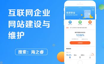 互聯(lián)網(wǎng)企業(yè)網(wǎng)站建設(shè)與維護
